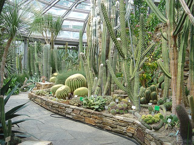 Botanischer Garten