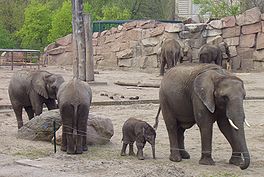 Tierpark Friedrichsfelde