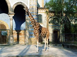 Zoologischer Garten